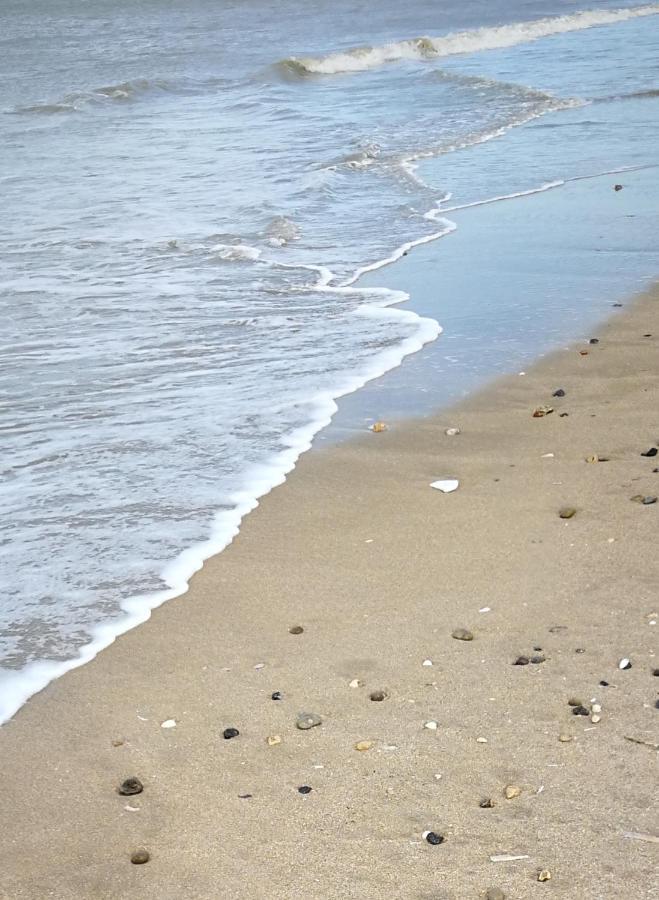Study Du Pecheur Διαμέρισμα Trouville-sur-Mer Εξωτερικό φωτογραφία